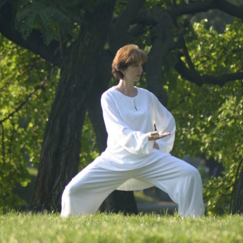 stagiu-taiji-daoyin stagiu-taiji-daoyin